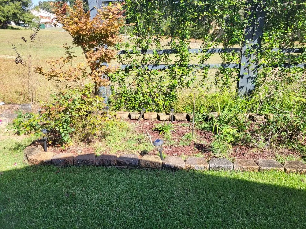 Affordable yard cleanup service experts serving Pensacola, FL - Southerlandscaping