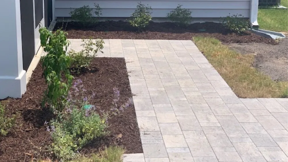 Professional yard maintenance in Wilmington, NC by Southern Accents Landscaping