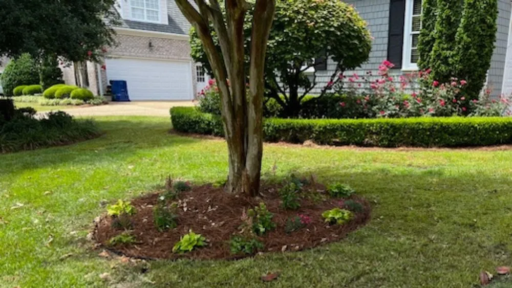 Expert landscape installation for outdoor upgrades across Wilmington, NC - Southern Accents Landscaping
