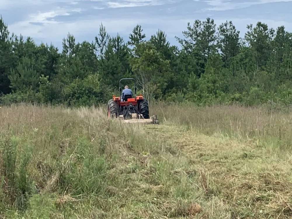 Reliable yard cleanup service in Saraland, AL by Southern Acres Landworks