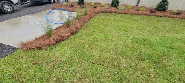 Southern Appeal Landscape