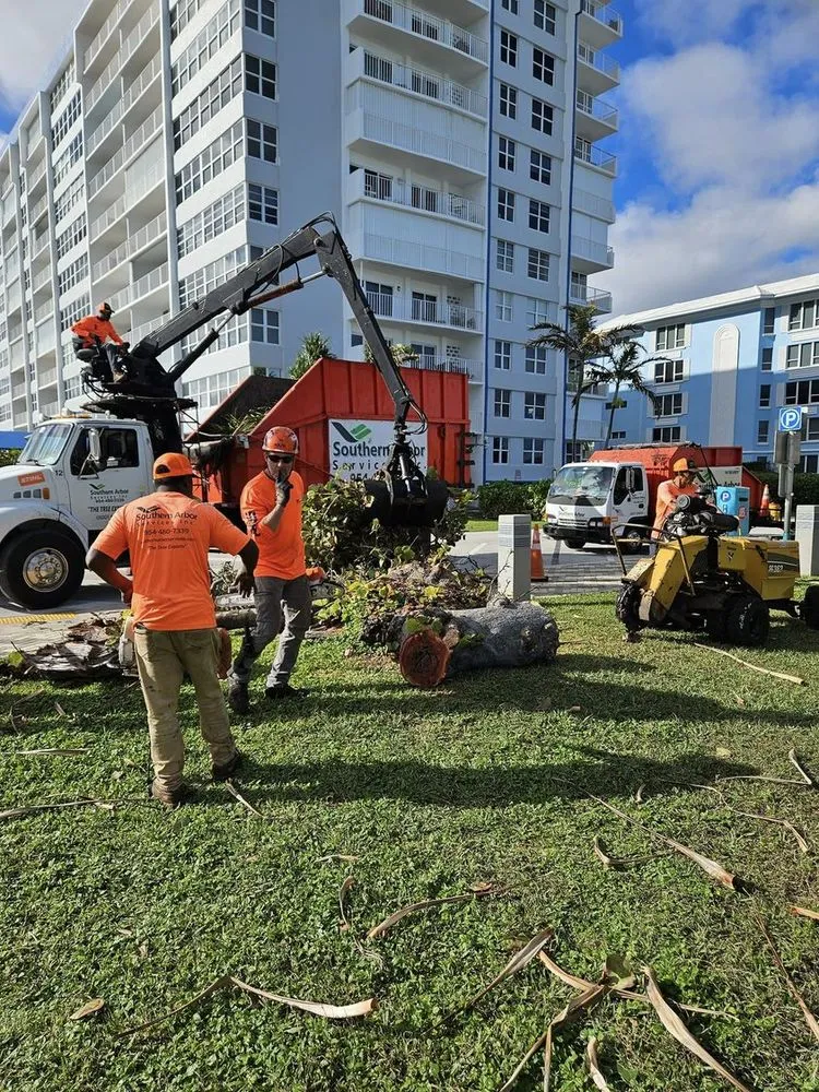 Reliable lawn mowing service in Lighthouse Point, FL - Southern Arbor Services
