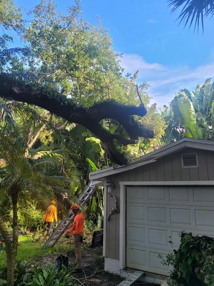 Trusted garden landscaping for residential properties in Lighthouse Point, FL by Southern Arbor Services