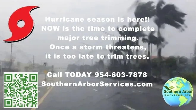 Local garden landscaping in Lighthouse Point, FL - Southern Arbor Services