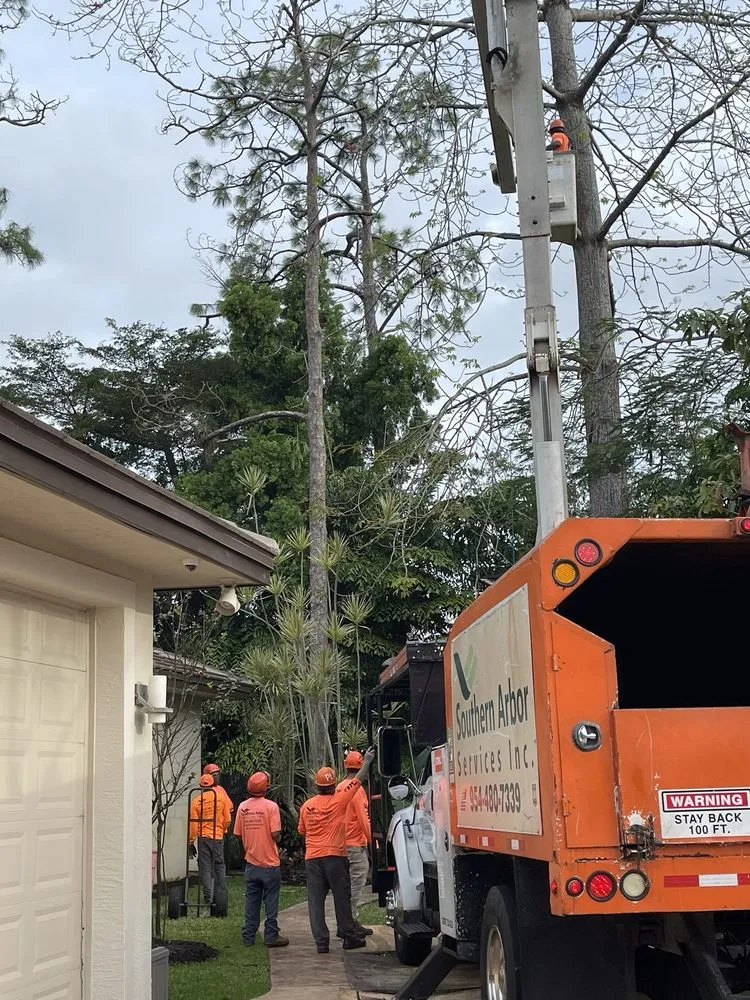 Custom yard maintenance experts serving Lighthouse Point, FL - Southern Arbor Services