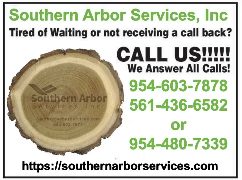 Expert residential landscaping with custom design in Lighthouse Point, FL by Southern Arbor Services