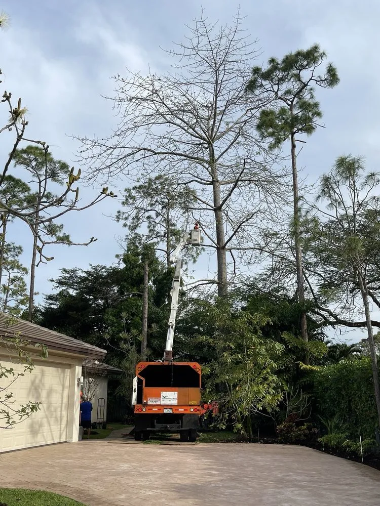 Custom landscape installation experts serving Lighthouse Point, FL - Southern Arbor Services