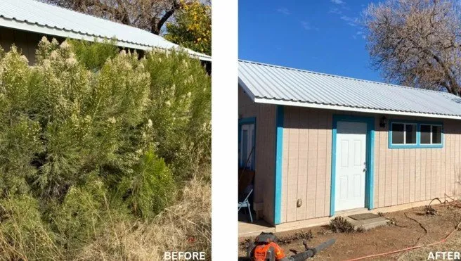 Trusted residential landscaping experts serving Sierra Vista, AZ - Southern Arizona Curb Appeal