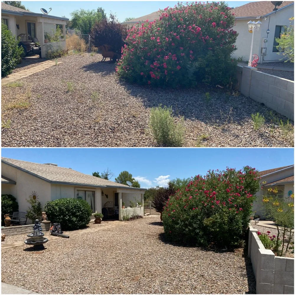 Trusted yard maintenance near you across Sierra Vista, AZ - Southern Arizona Curb Appeal