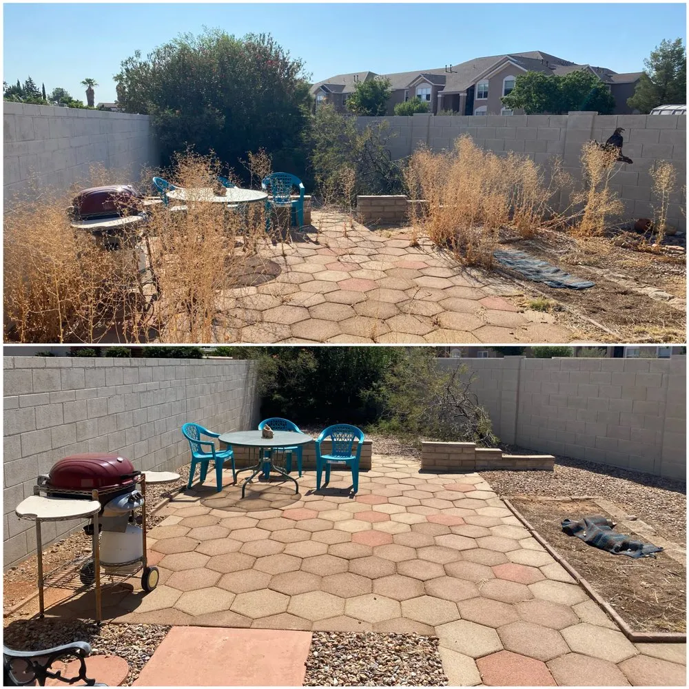 Expert landscape design for beautiful yards across Sierra Vista, AZ - Southern Arizona Curb Appeal