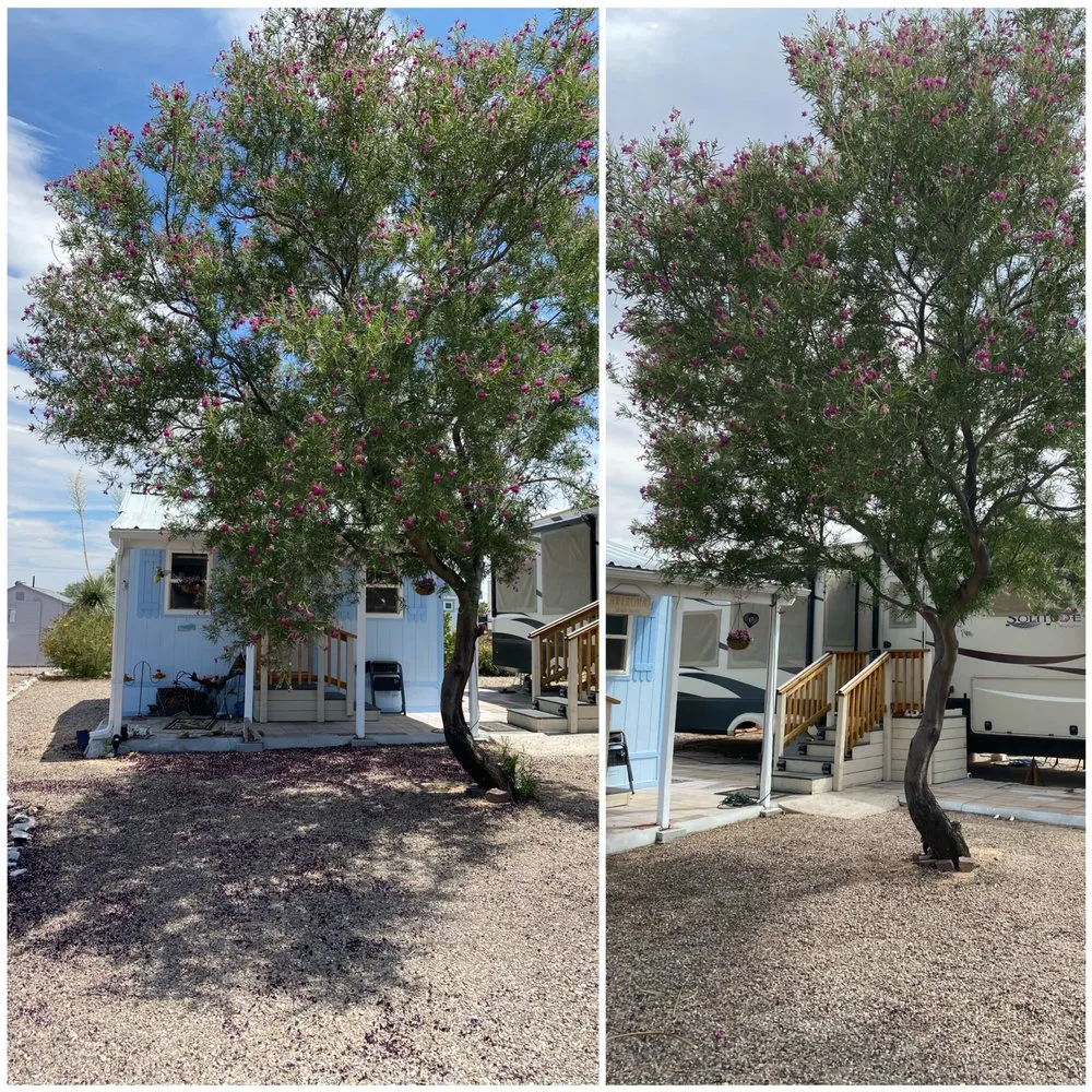 Expert garden landscaping in Sierra Vista, AZ - Southern Arizona Curb Appeal