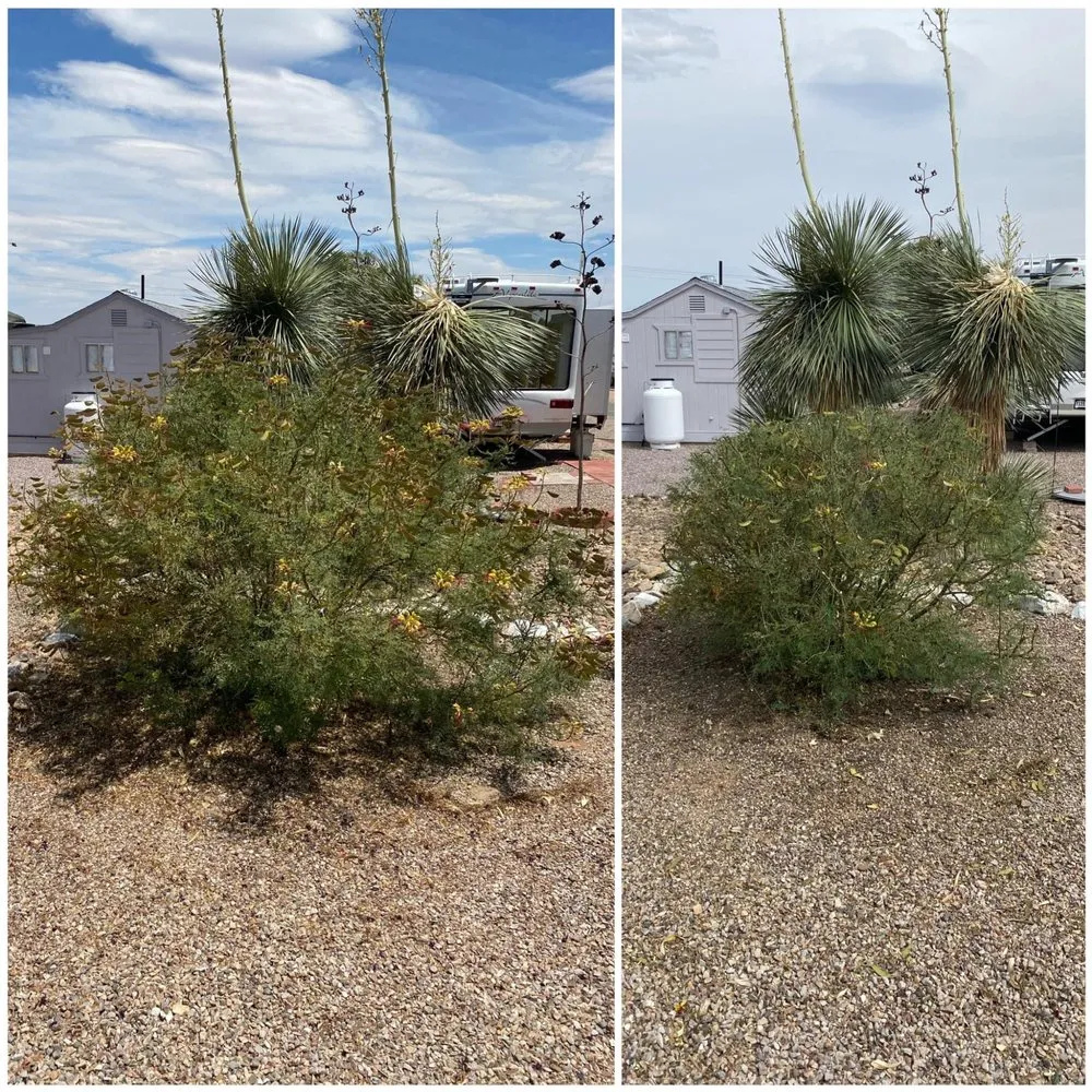 Professional garden landscaping experts serving Sierra Vista, AZ - Southern Arizona Curb Appeal