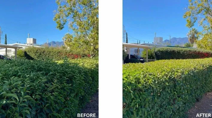 Top-rated lawn care service for residential properties in Sierra Vista, AZ by Southern Arizona Curb Appeal