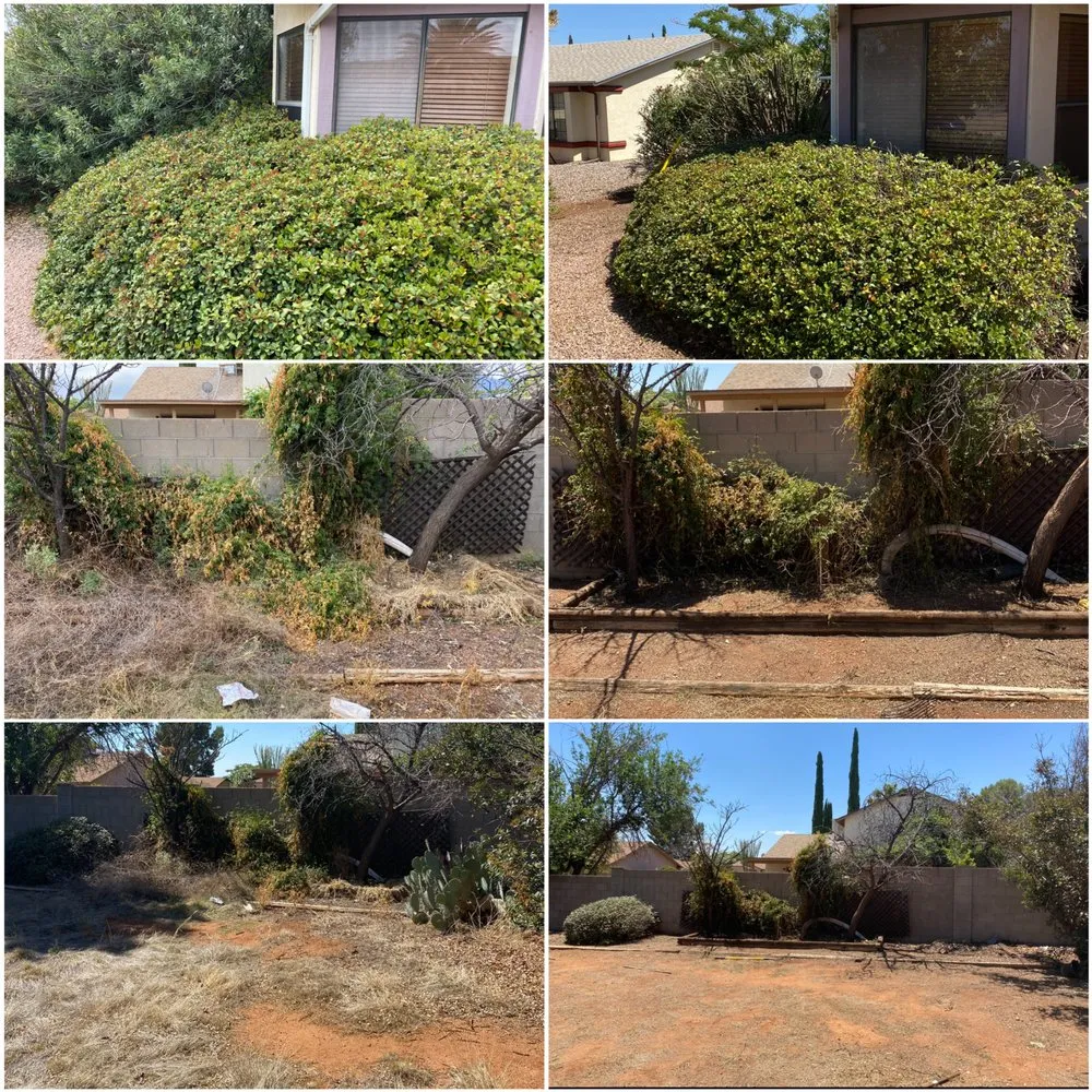 Local outdoor landscaping in Sierra Vista, AZ - Southern Arizona Curb Appeal