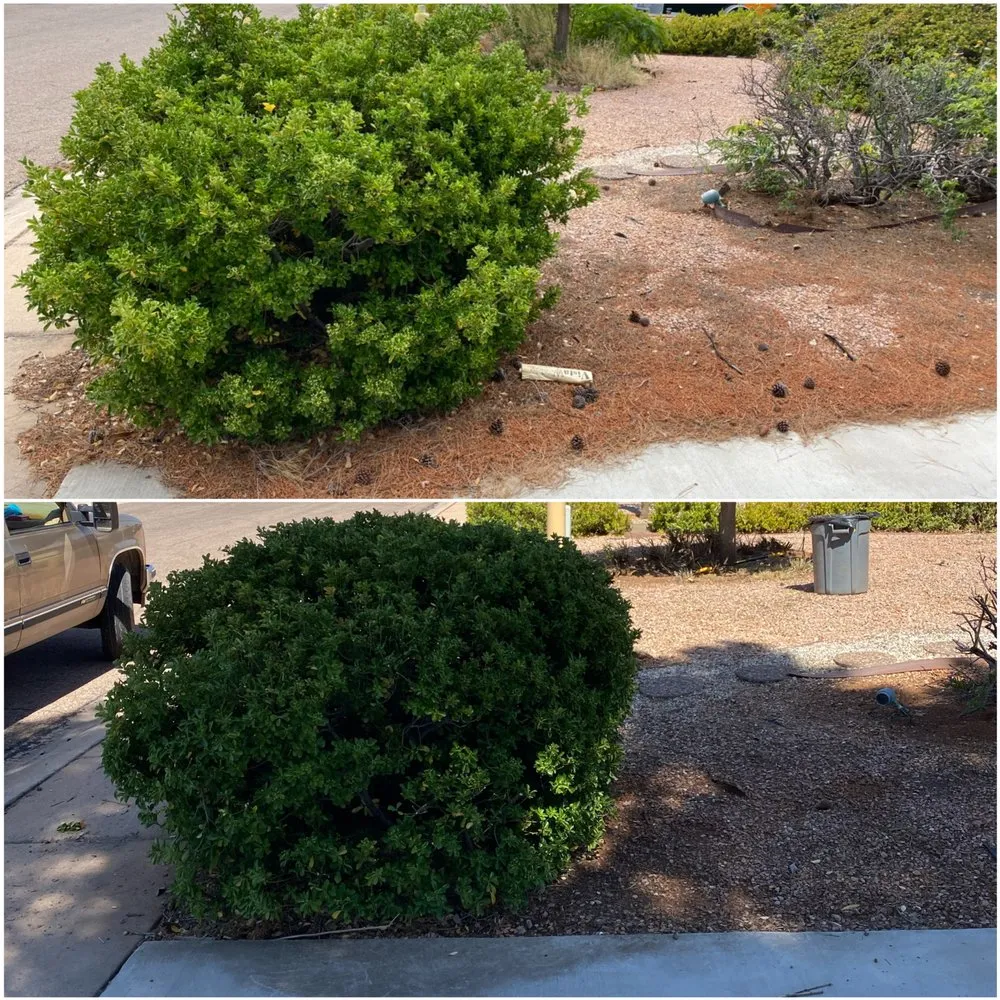 Affordable outdoor landscaping in Sierra Vista, AZ - Southern Arizona Curb Appeal