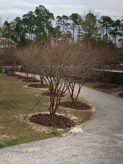 Reliable residential landscaping experts serving Daphne, AL - Southern Bay Landscaping
