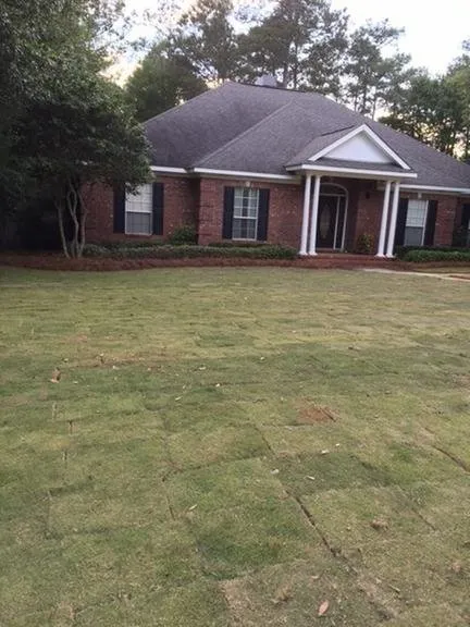 Expert yard maintenance for homes across Daphne, AL - Southern Bay Landscaping