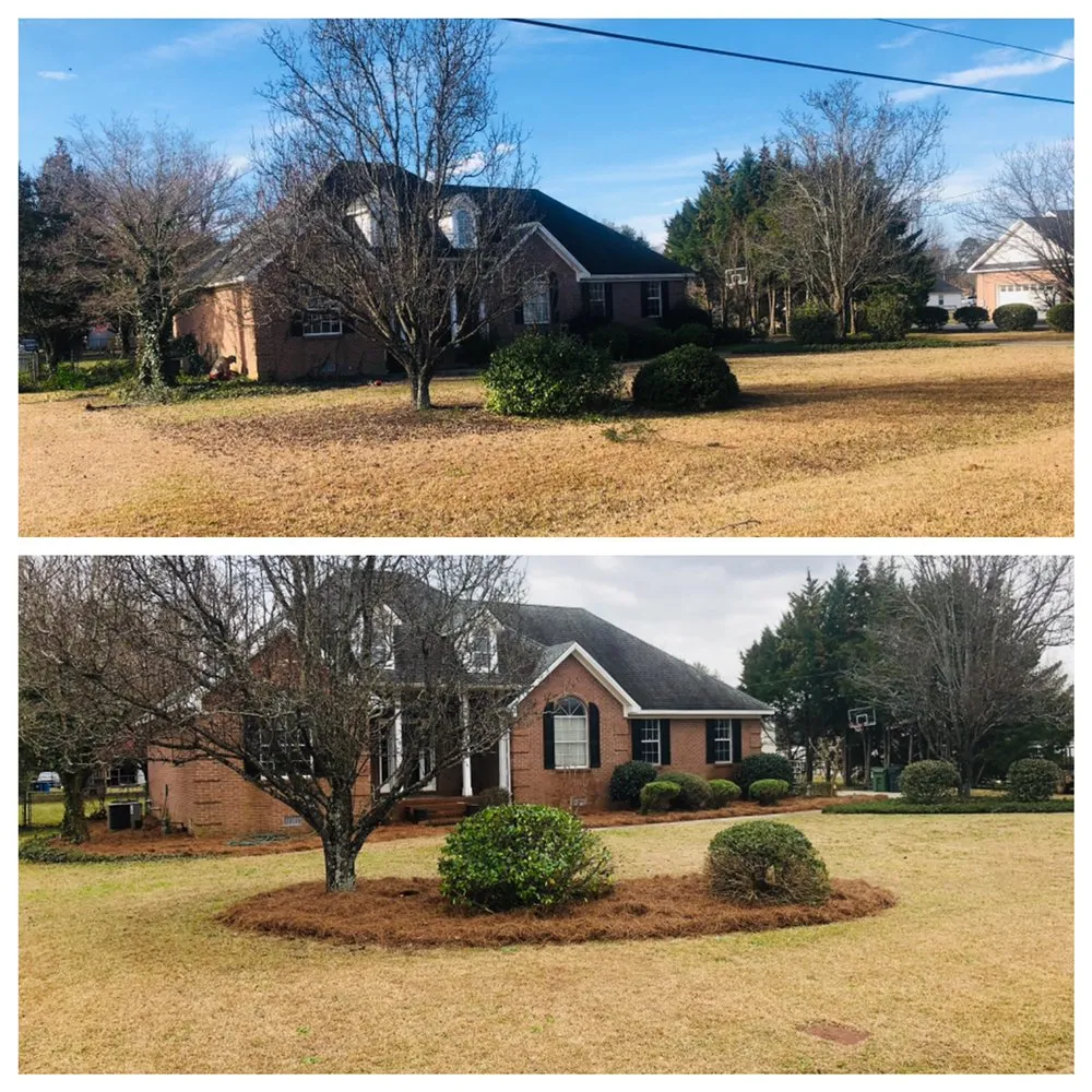 Expert landscape installation for year-round maintenance in Macon, GA by Southern Blades Landscape Services
