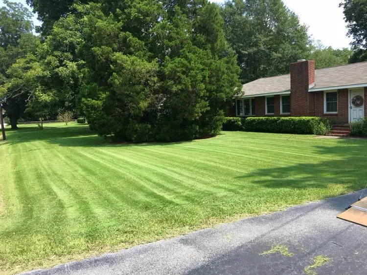 Custom garden landscaping for outdoor upgrades in Macon, GA by Southern Blades Landscape Services