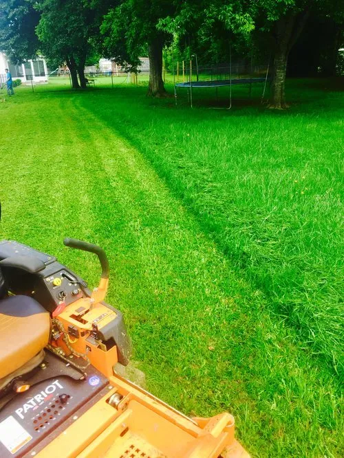 Expert landscape installation in Macon, GA by Southern Blades Landscape Services