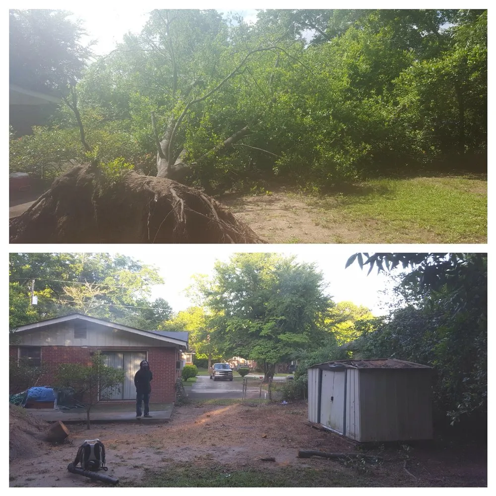 Top-rated residential landscaping in Macon, GA - Southern Blades Landscape Services