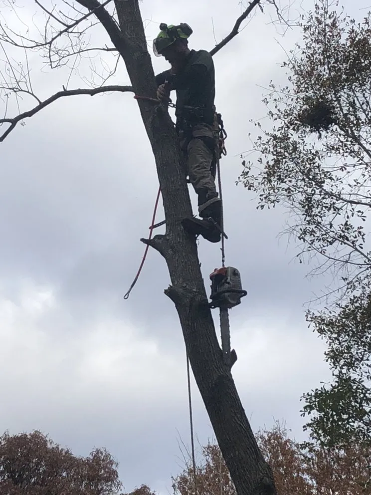 Local landscape design in Macon, GA by Southern Blades Landscape Services