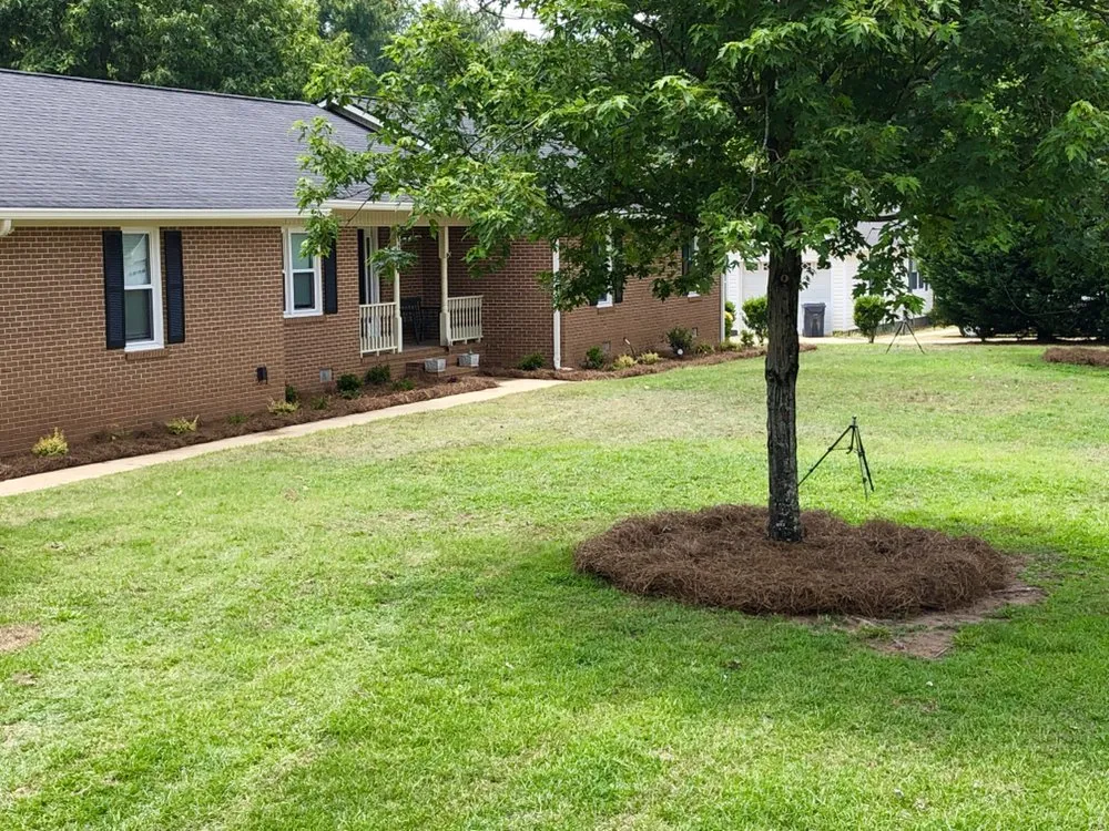 Expert residential landscaping in Macon, GA - Southern Blades Landscape Services