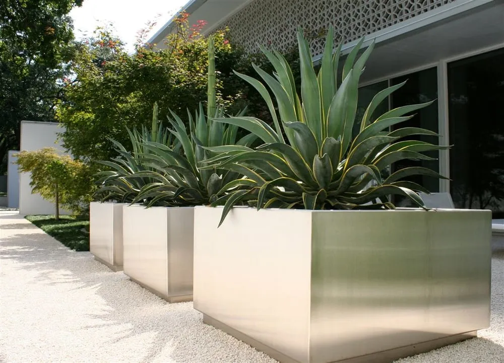 Top-rated yard maintenance in Dallas, TX - Southern Botanical Landscaping