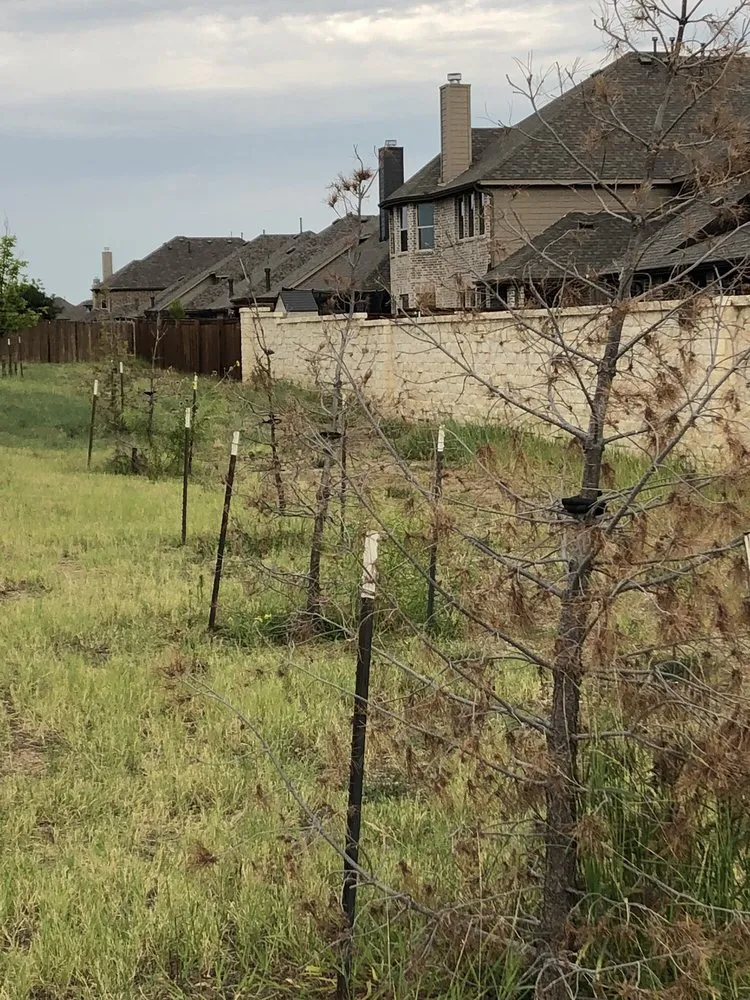 Trusted yard cleanup service in Dallas, TX by Southern Botanical Landscaping