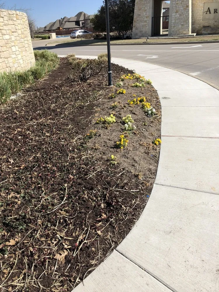 Local outdoor landscaping for residential properties across Dallas, TX - Southern Botanical Landscaping