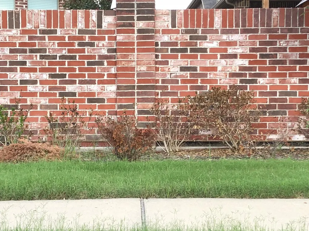 Local landscaping services in Dallas, TX - Southern Botanical Landscaping