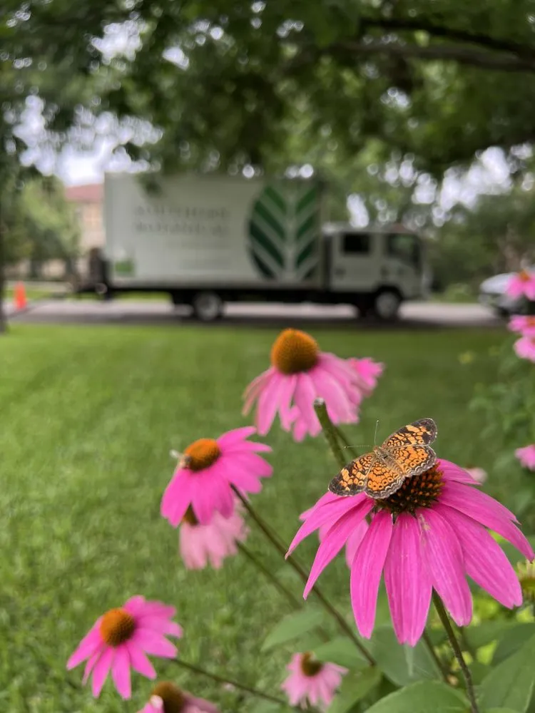 Custom landscape installation experts serving Dallas, TX - Southern Botanical Landscaping