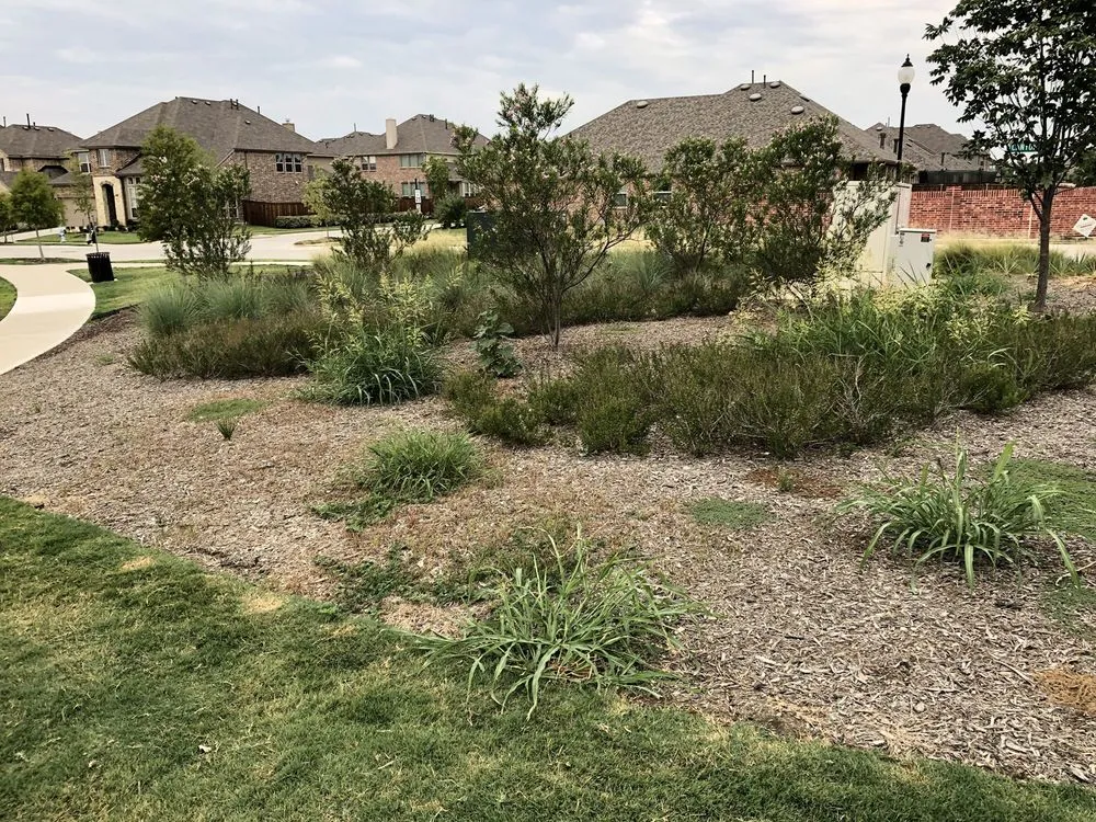 Custom yard maintenance experts serving Dallas, TX - Southern Botanical Landscaping