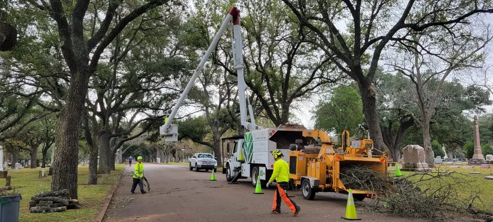 Custom landscape design for year-round maintenance across Dallas, TX - Southern Botanical Landscaping