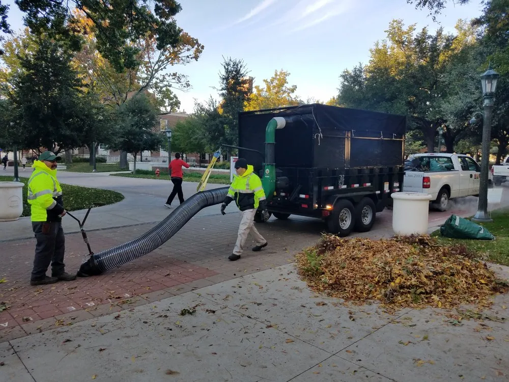 Professional yard maintenance in Dallas, TX by Southern Botanical Landscaping