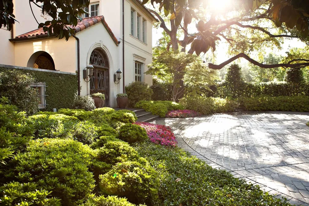 Affordable yard cleanup service in Dallas, TX by Southern Botanical Landscaping