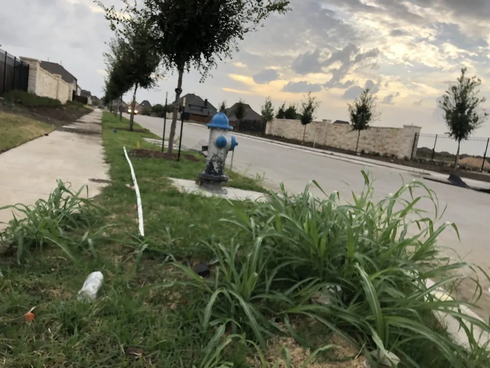 Expert garden landscaping experts serving Dallas, TX - Southern Botanical Landscaping