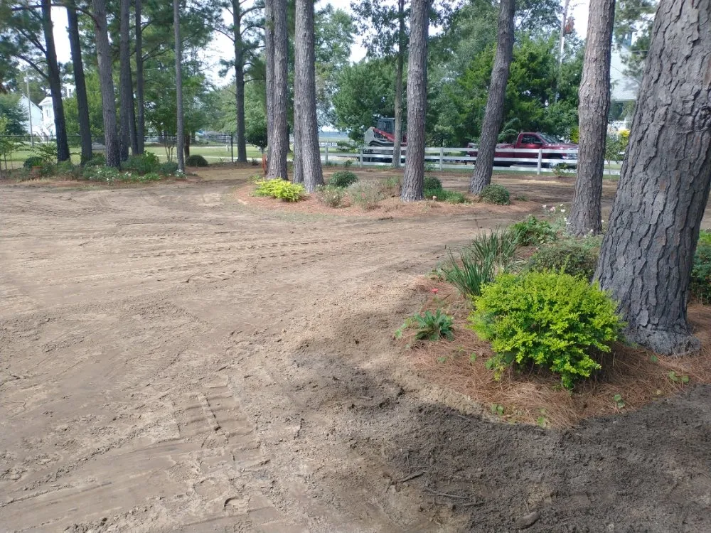 Professional yard cleanup service for year-round maintenance in Midway, GA by Southern Bourne Outdoors