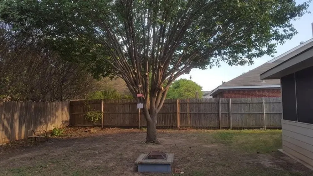 Professional yard maintenance near you across Athens, TX - Southern Boys Landscape