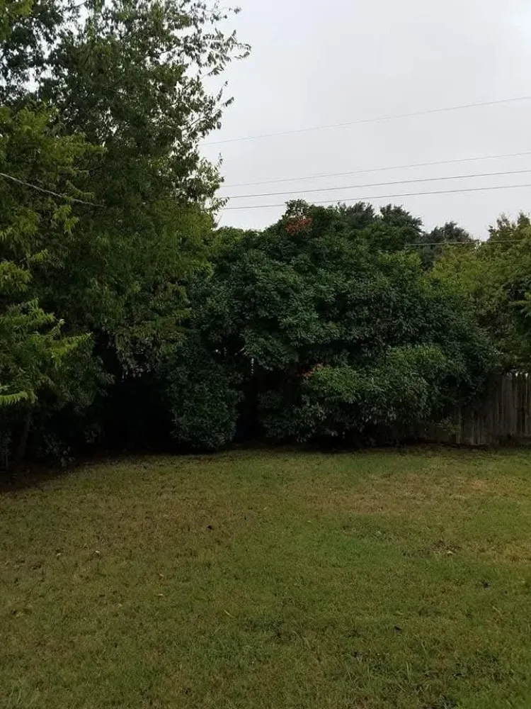 Affordable garden landscaping for residential properties across Athens, TX - Southern Boys Landscape