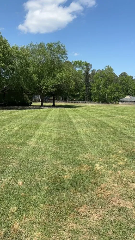 Expert lawn care service experts serving Evans, GA - Southern Boys Landscaping