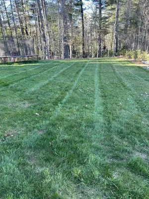 Southern Boys Landscaping Logo