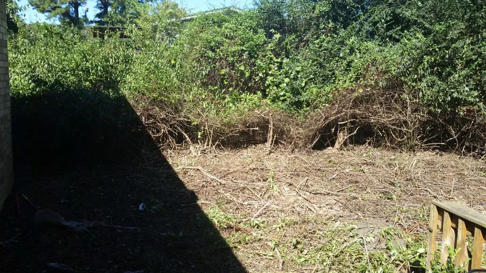 Trusted landscape design near you in North Little Rock, AR by Southern Boys Lawncare