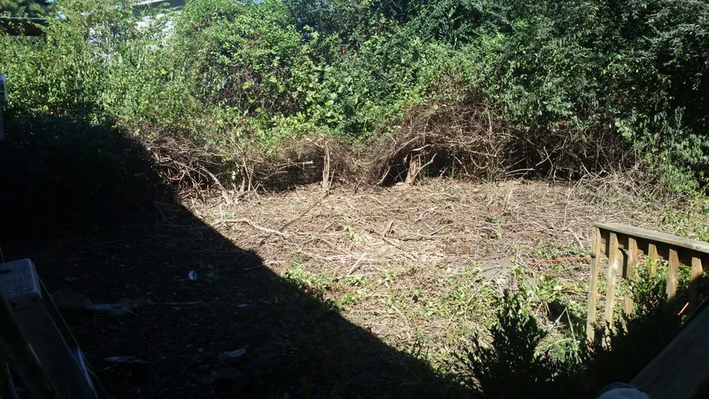 Local landscape design in North Little Rock, AR by Southern Boys Lawncare