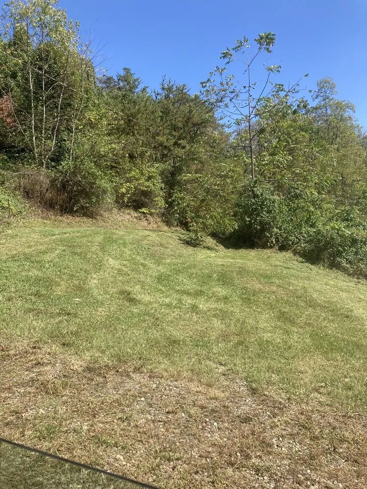 Professional residential landscaping experts serving Leicester, NC - Southern Boyz Landscapes