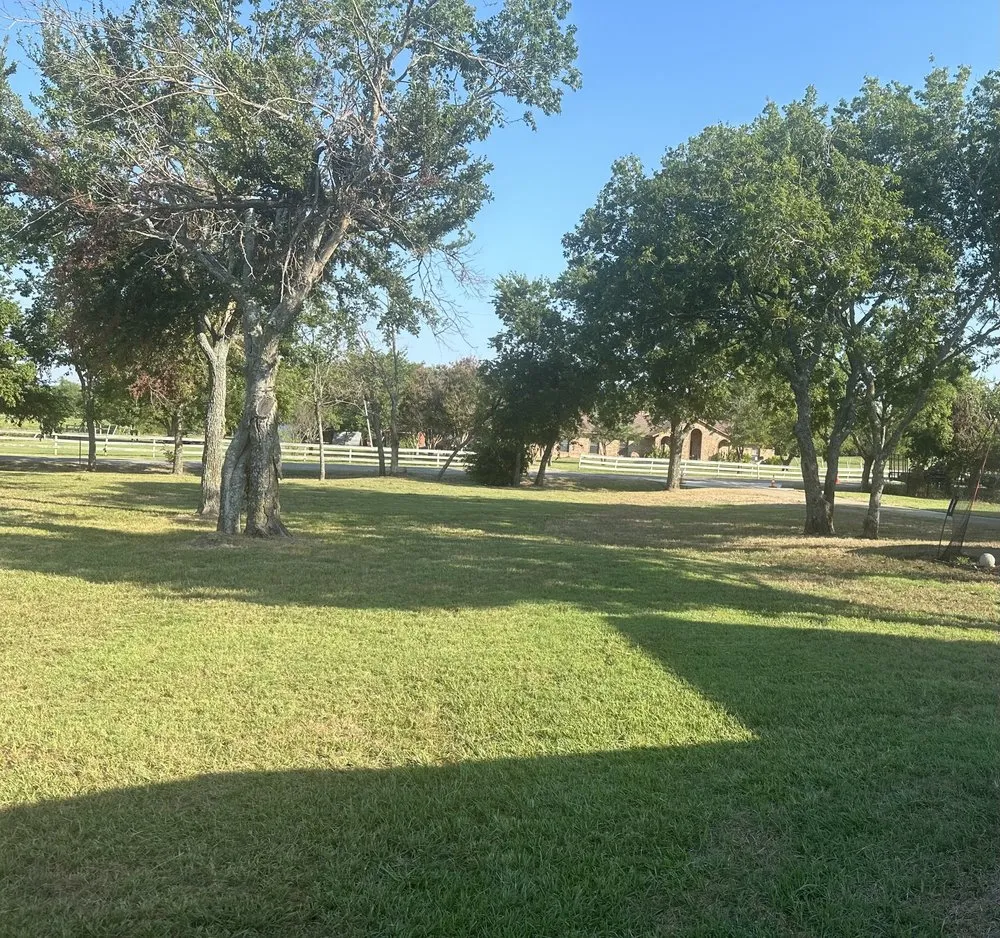 Expert outdoor landscaping for year-round maintenance across Heath, TX - Southern Breeze Services