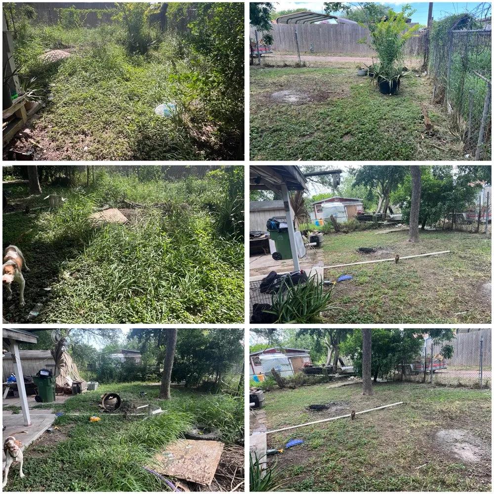 Local yard maintenance for outdoor upgrades in Georgetown, TX by Southern Brother’s Lawn Care & Maintenance