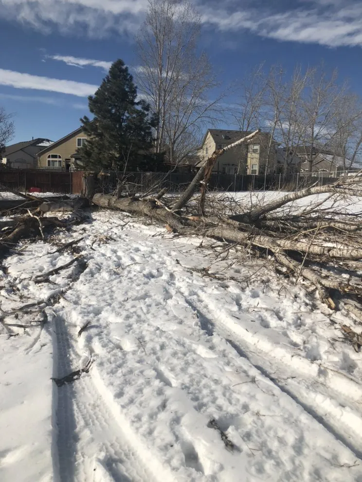 Professional residential landscaping in Dacono, CO by Southern Brothers Services LLC.