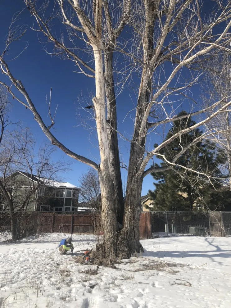 Reliable residential landscaping experts serving Dacono, CO - Southern Brothers Services LLC.