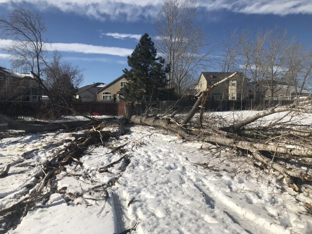 Local landscape installation for residential properties in Dacono, CO by Southern Brothers Services LLC.